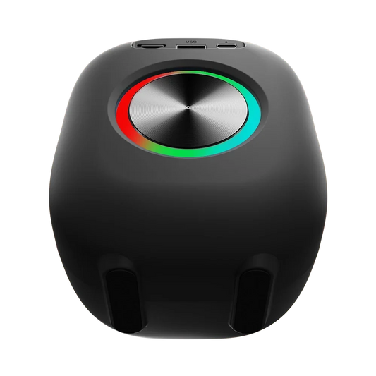 L-273 Ravok | Wireless Speaker